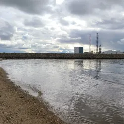 Men at Sea (Mennesket ved Havet) - Esbjerg