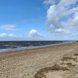 Men at Sea (Mennesket ved Havet) - Esbjerg