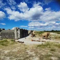 Tirpitz Museum - Esbjerg