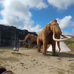 Tirpitz Museum - Esbjerg