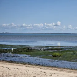 Wadden Sea National Park - Esbjerg