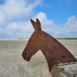 Wadden Sea National Park - Esbjerg