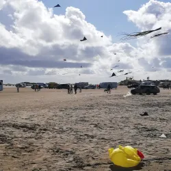 Wadden Sea National Park - Esbjerg
