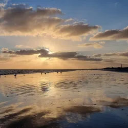 Wadden Sea National Park - Esbjerg