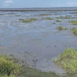 Wadden Sea National Park - Esbjerg