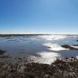 Wadden Sea National Park - Esbjerg