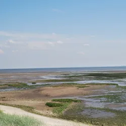 Wadden Sea National Park - Esbjerg