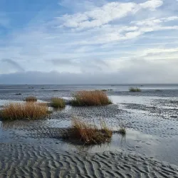 Wadden Sea National Park - Esbjerg