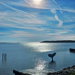 Faaborg Harbour - Faaborg