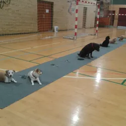 Hallen - Faaborg Culture and Sports Center - Faaborg