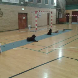 Hallen - Faaborg Culture and Sports Center - Faaborg