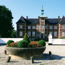 Rugård Forest - Faaborg