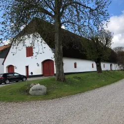 Rugård Forest - Faaborg