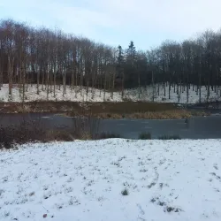 Svanninge Bakker (The South Funen Alps) - Faaborg