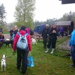 Svanninge Bakker (The South Funen Alps) - Faaborg