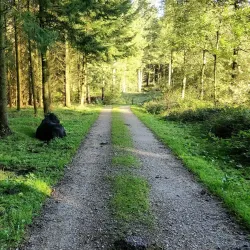 Svanninge Bakker (The South Funen Alps) - Faaborg