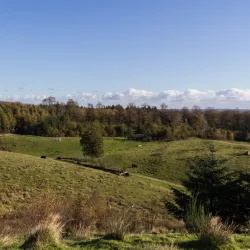 Svanninge Bakker (The South Funen Alps) - Faaborg