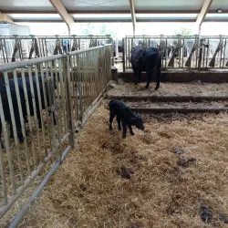 Svanninge Bakker (The South Funen Alps) - Faaborg