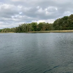 Buresø Lake - Farum