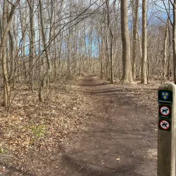 Buresø Lake - Farum