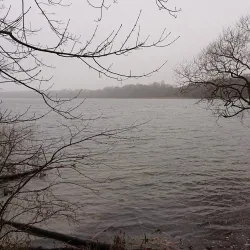 Buresø Lake - Farum