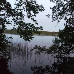 Farum Church (Farum Kirke) - Farum