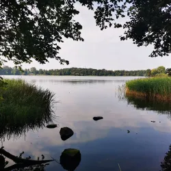 Farum Lake (Farum Sø) - Farum