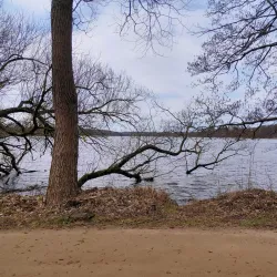 Farum Lake (Farum Sø) - Farum