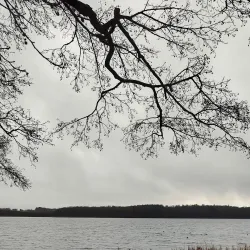 Farum Lake (Farum Sø) - Farum
