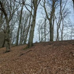 Farum Lake (Farum Sø) - Farum