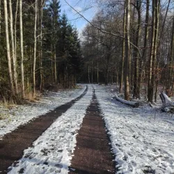 Farum Lake (Farum Sø) - Farum