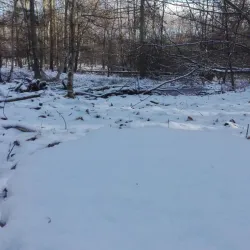 Farum Lake (Farum Sø) - Farum