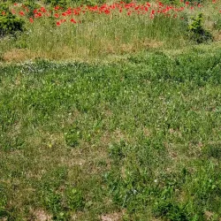 Farum Midtpunkt - Farum