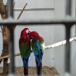 Madsby Parken - Fredericia