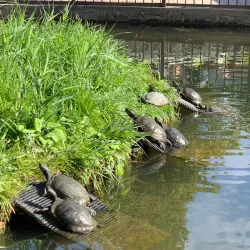 Madsby Parken - Fredericia