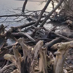 Trelde Næs - Fredericia