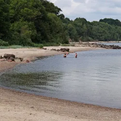 Trelde Næs - Fredericia