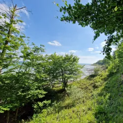 Trelde Næs - Fredericia