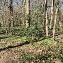 Trelde Næs - Fredericia