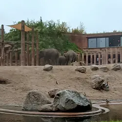 Frederiksberg Gardens - Frederiksberg