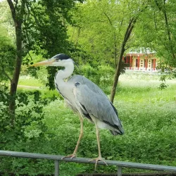 Frederiksberg Gardens - Frederiksberg