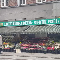 Godthåbsvej Shopping Street - Frederiksberg