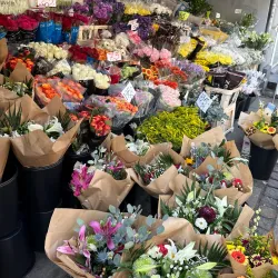 Godthåbsvej Shopping Street - Frederiksberg