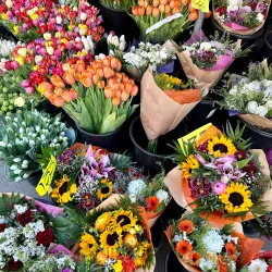 Godthåbsvej Shopping Street - Frederiksberg