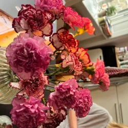 Godthåbsvej Shopping Street - Frederiksberg