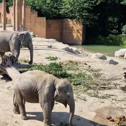 Zoo Copenhagen (Copenhagen Zoo) - Frederiksberg