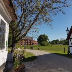 Esrum Abbey - Gribskov