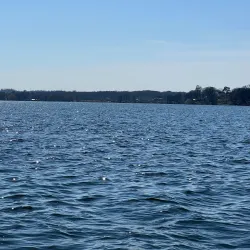 Gribskov Forest - Gribskov