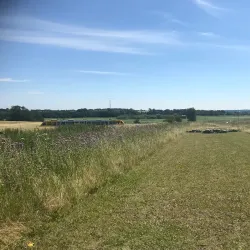 Gribskov Golf Club - Gribskov