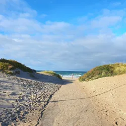 Liseleje Harbor - Gribskov